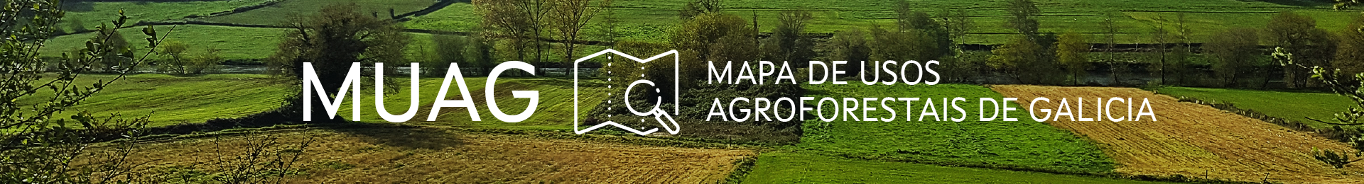 Mapa de Usos Agroforestales