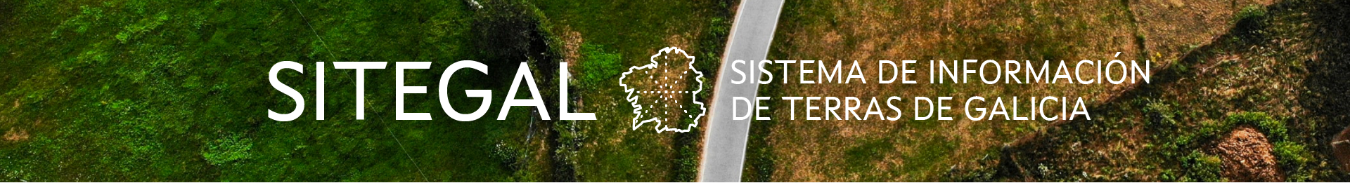 Portal web del Sitegal