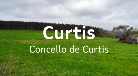 actuacions_curtis.png