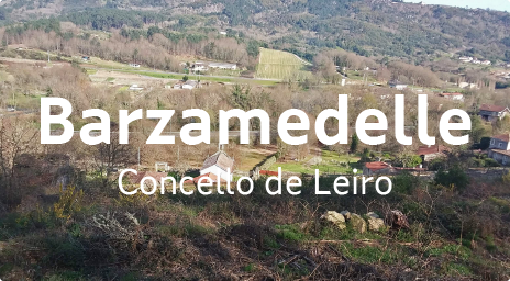 Barzamedelle - Concello de Leiro