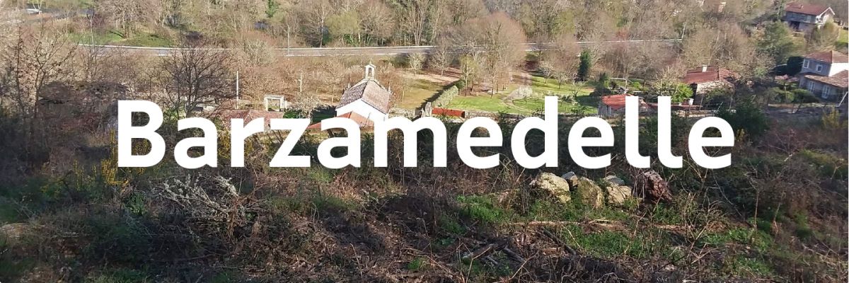 Barzamedelle
