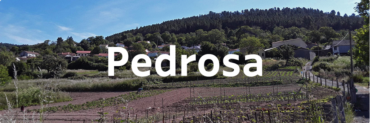 Pedrosa