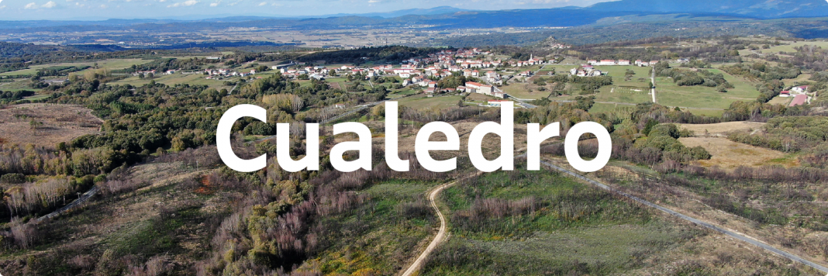 Cualedro