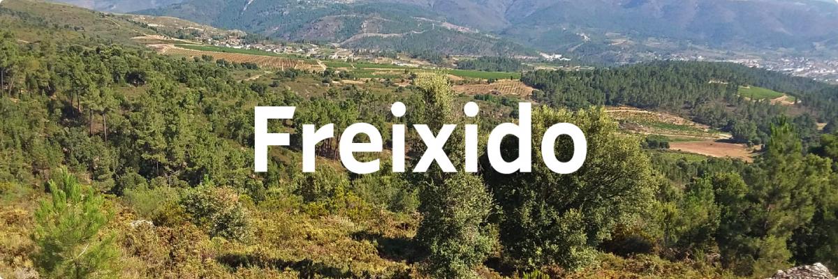 Freixido