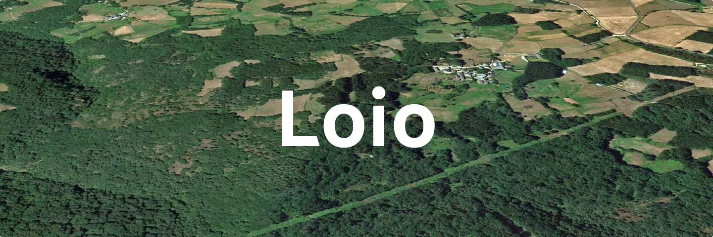 Loio