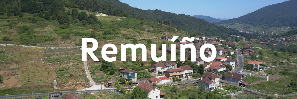 Remuiño
