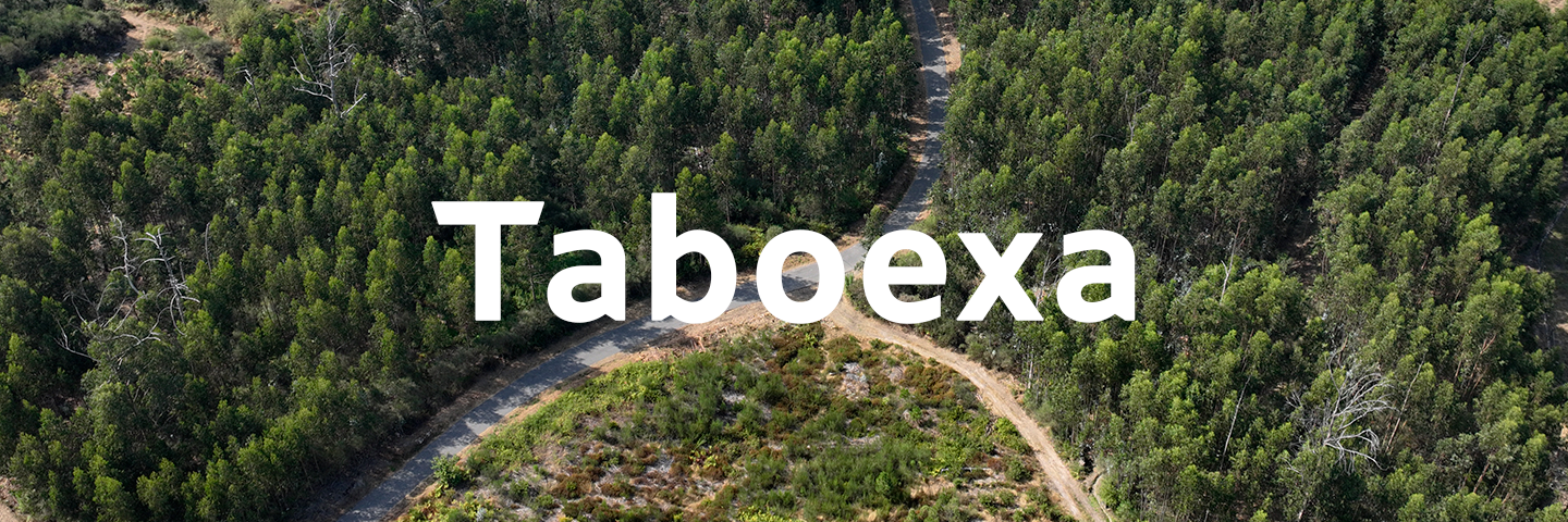 Taboexa
