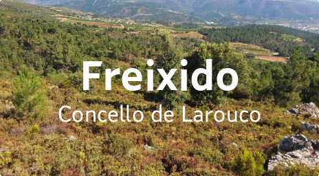 Freixido - Concello de Larouco