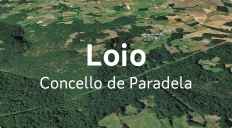 Loio