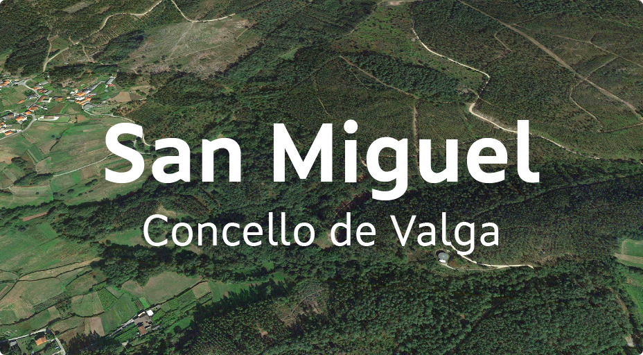 San Miguel - Concello de Valga