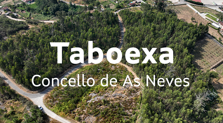 Taboexa