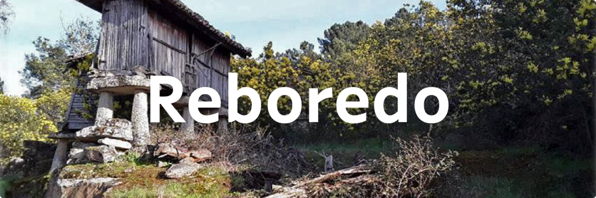 Reboredo