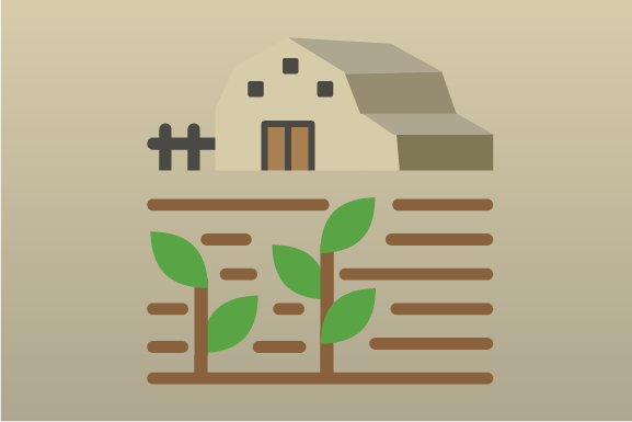 A Xunta porá en marcha este ano o banco de explotacións no marco da Lei de recuperación para garantir a remuda xeracional no agro