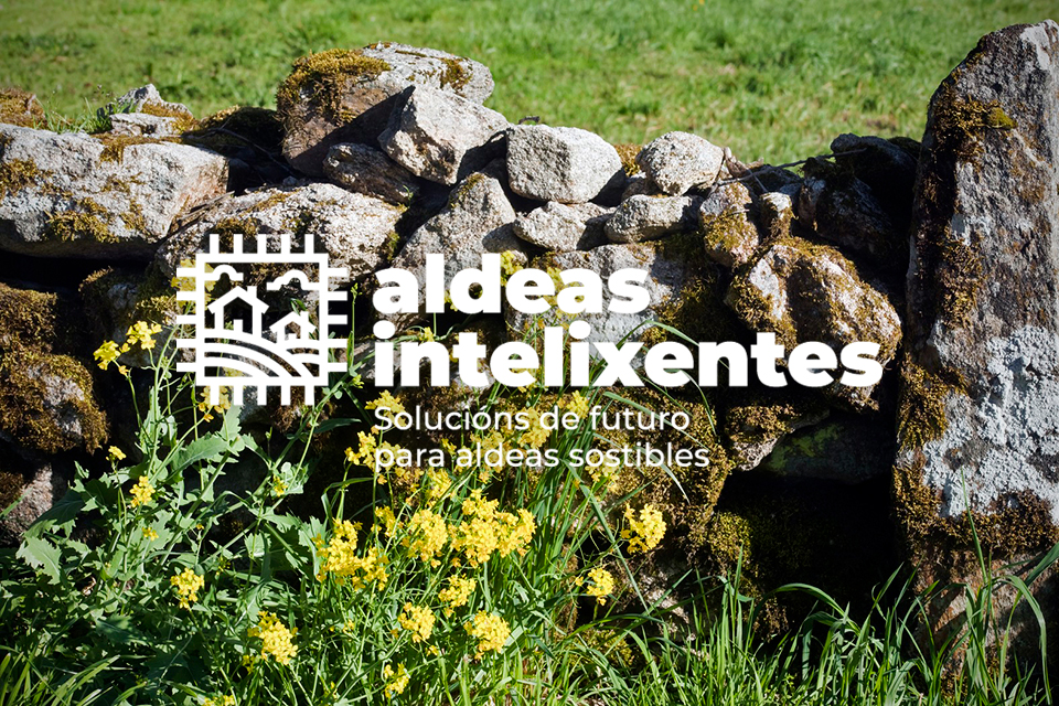 A Xunta recibiu un total de 224 propostas nas dúas fases de consulta pública ao mercado do proxecto aldeas intelixentes