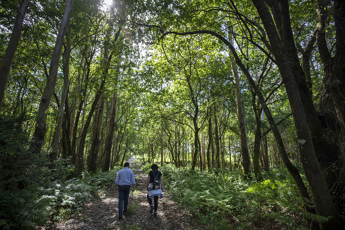 A Xunta convoca as axudas do Plan Leader cun orzamento de 15,3 millóns de euros para as anualidades de 2023 e 2024