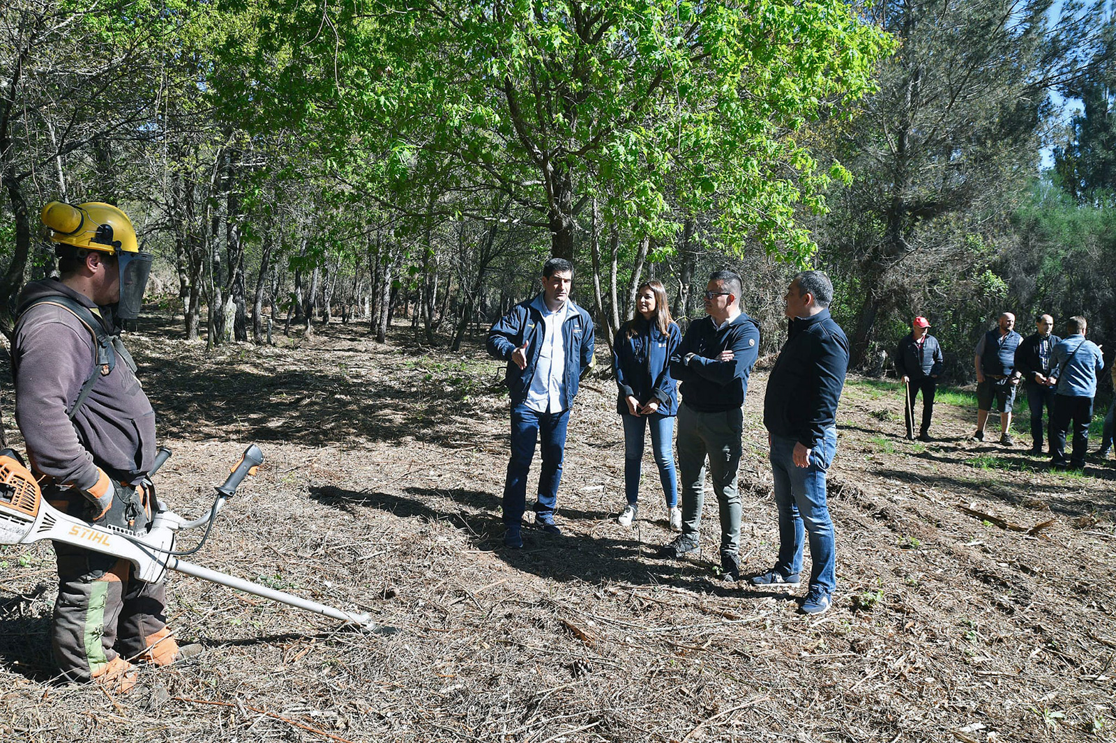 A Xunta avanza nos traballos de roza e posta a punto dos novos polígonos agroforestais de Vences, no concello de Monterrei, e de Pousada, en Riós