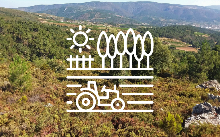 A Xunta inicia o procedemento de aprobación para o desenvolvemento dun polígono agroforestal de iniciativa pública no concello ourensán de Larouco