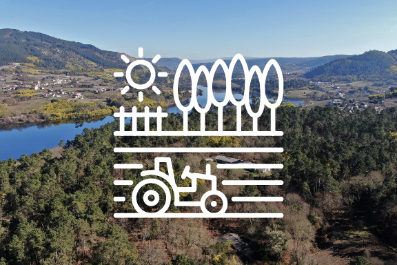 Aprobación do polígono agroforestal de Castrelo de Miño