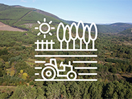 A Xunta inicia a exposición pública do parcelario do proxecto básico de seis polígonos agroforestais