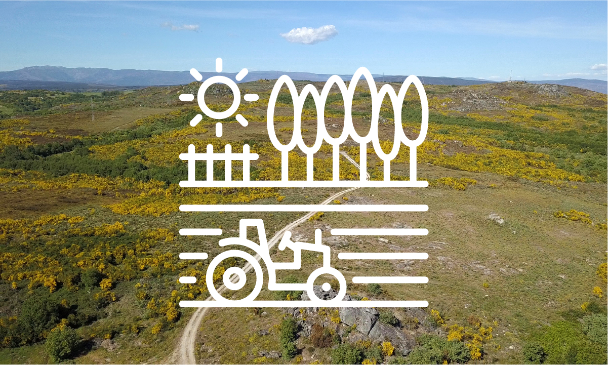 A Xunta declara de utilidade pública e de interese social seis polígonos agroforestais en Leiro, Monterrei, Paderne de Allariz, Riós, Cerdedo-Cotobade e Crecente