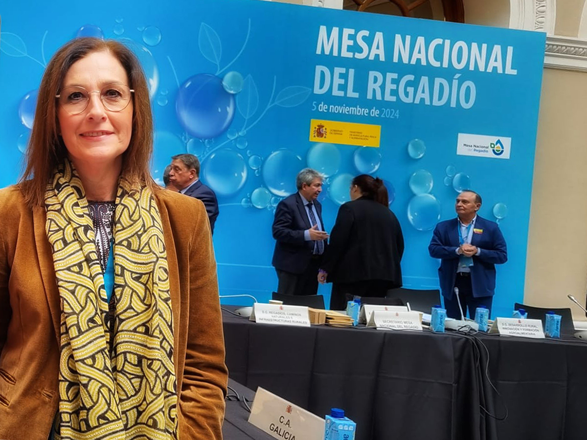 proxecto do Val de Lemos