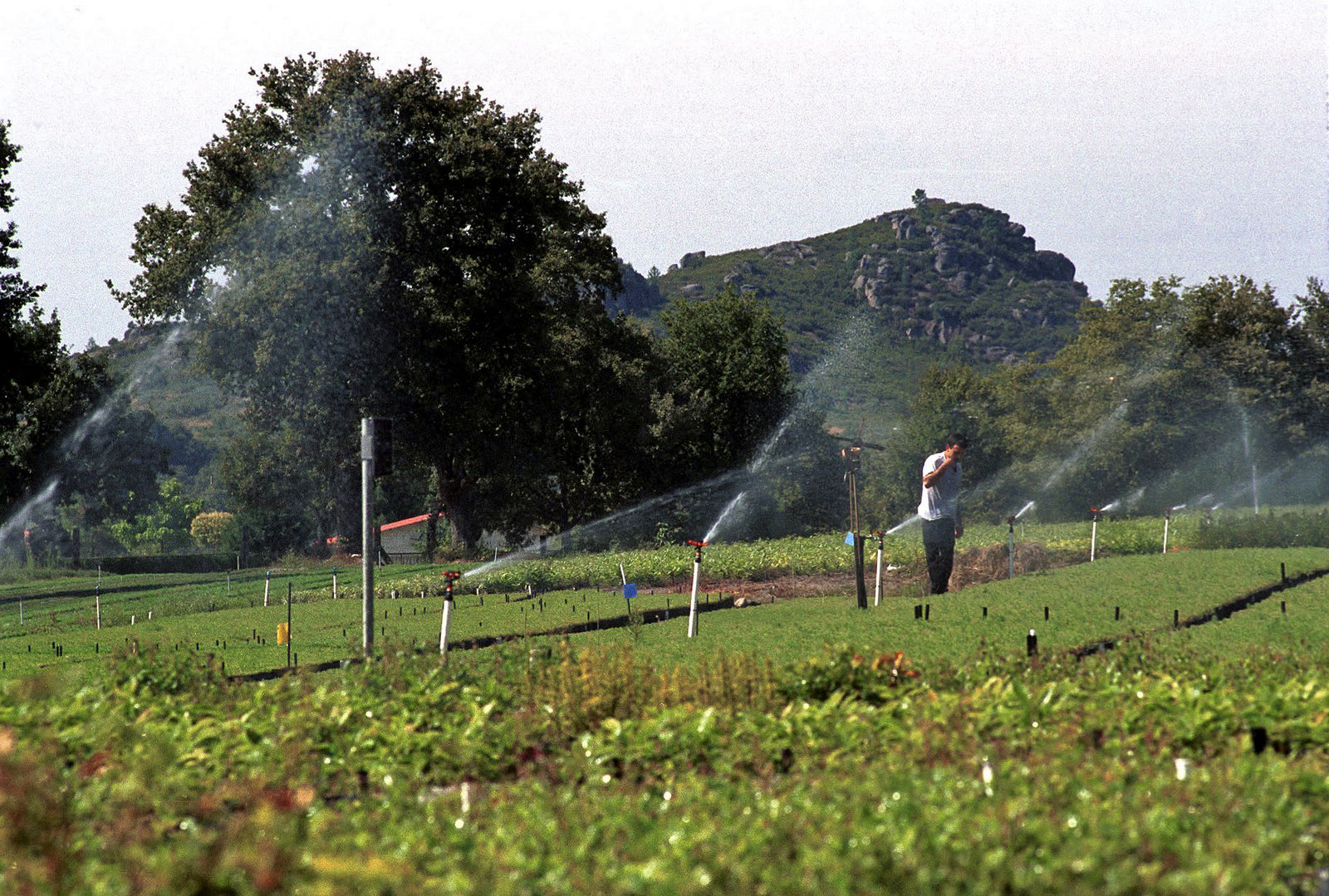 achegas para mellorar servizos no rural