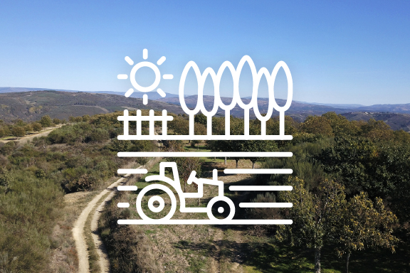 polígono agroforestal de Pousada