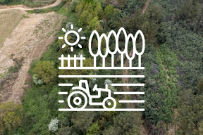 Polígono agroforestal Alto Castiñeira