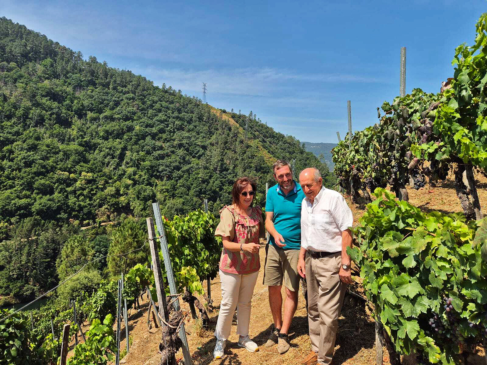 Medio Rural pon en valor as achegas de máis de 1,3 millóns de euros para a Ribeira Sacra Medio Rural pon en valor as achegas de máis de 1,3 millóns de euros para a Ribeira Sacra