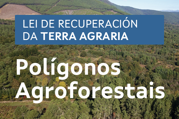 A Xunta inicia o procedemento de aprobación para o desenvolvemento de oito polígonos agroforestais