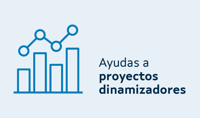 Ayudas a proyectos dinamizadores